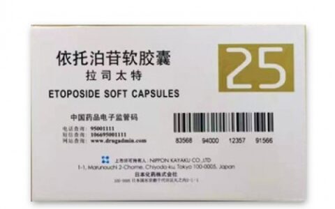 日本化药生产的依托泊苷治疗效果怎么样？