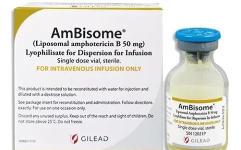 安必素（Ambisome）：注射用两性霉素B脂质体的详细介绍